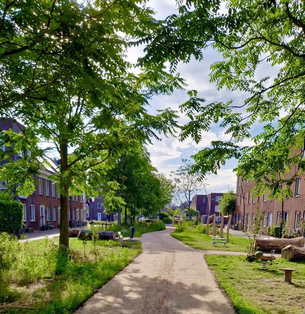 Schelpenpad met woningen Parkrijk