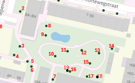 tekening met bomen binnentuin Sluispad